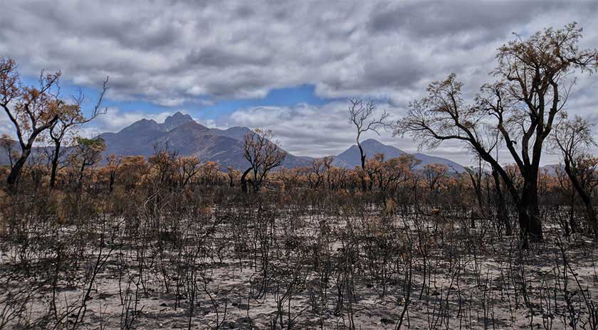 Bushfire and mental health